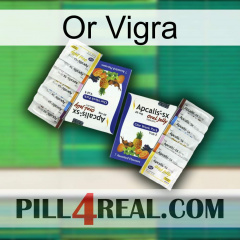 Gold Vigra 12
